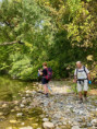/album/27-septembre-les-berges-de-lherault/v-7-jpg/